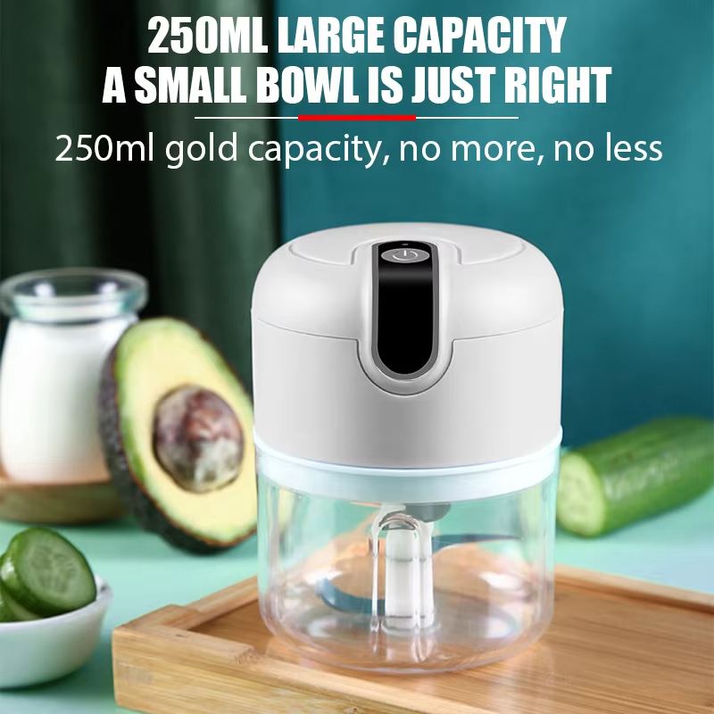 250ML electric meat grinder, g – Kitchen Appliances Japan Bewertung und Preis